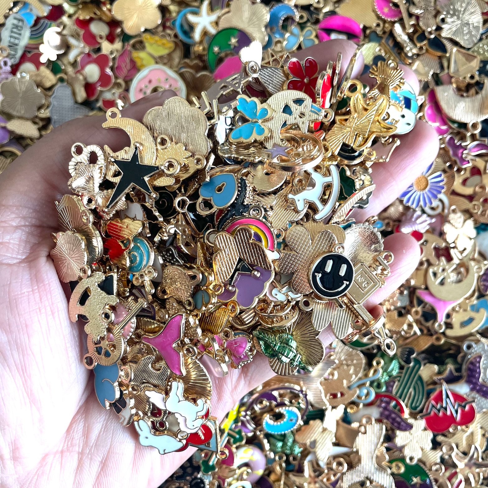 Assorted Enamel Charms