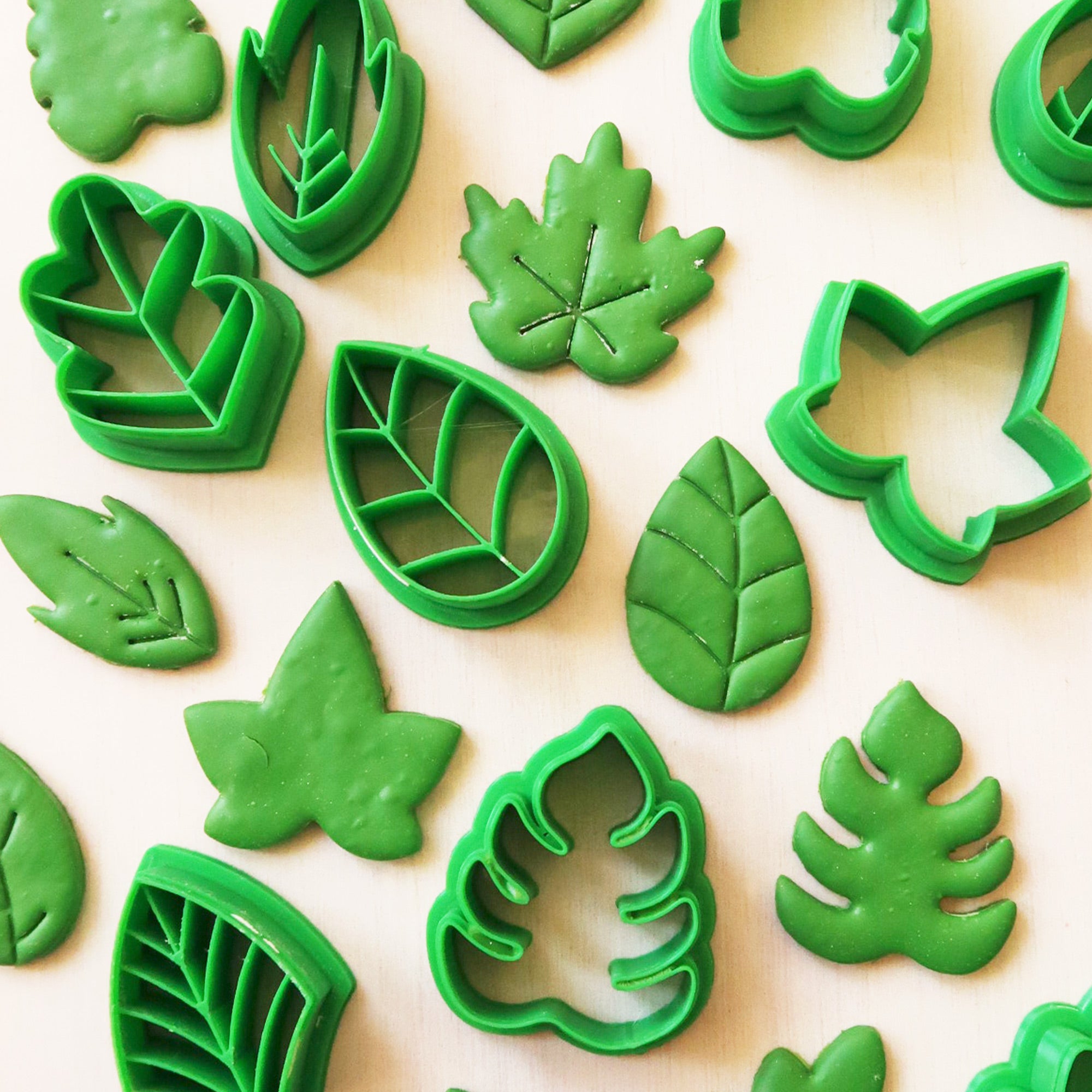 Leaf clartstudios