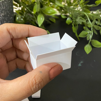 Carton And Books- Dollhouse  - M022