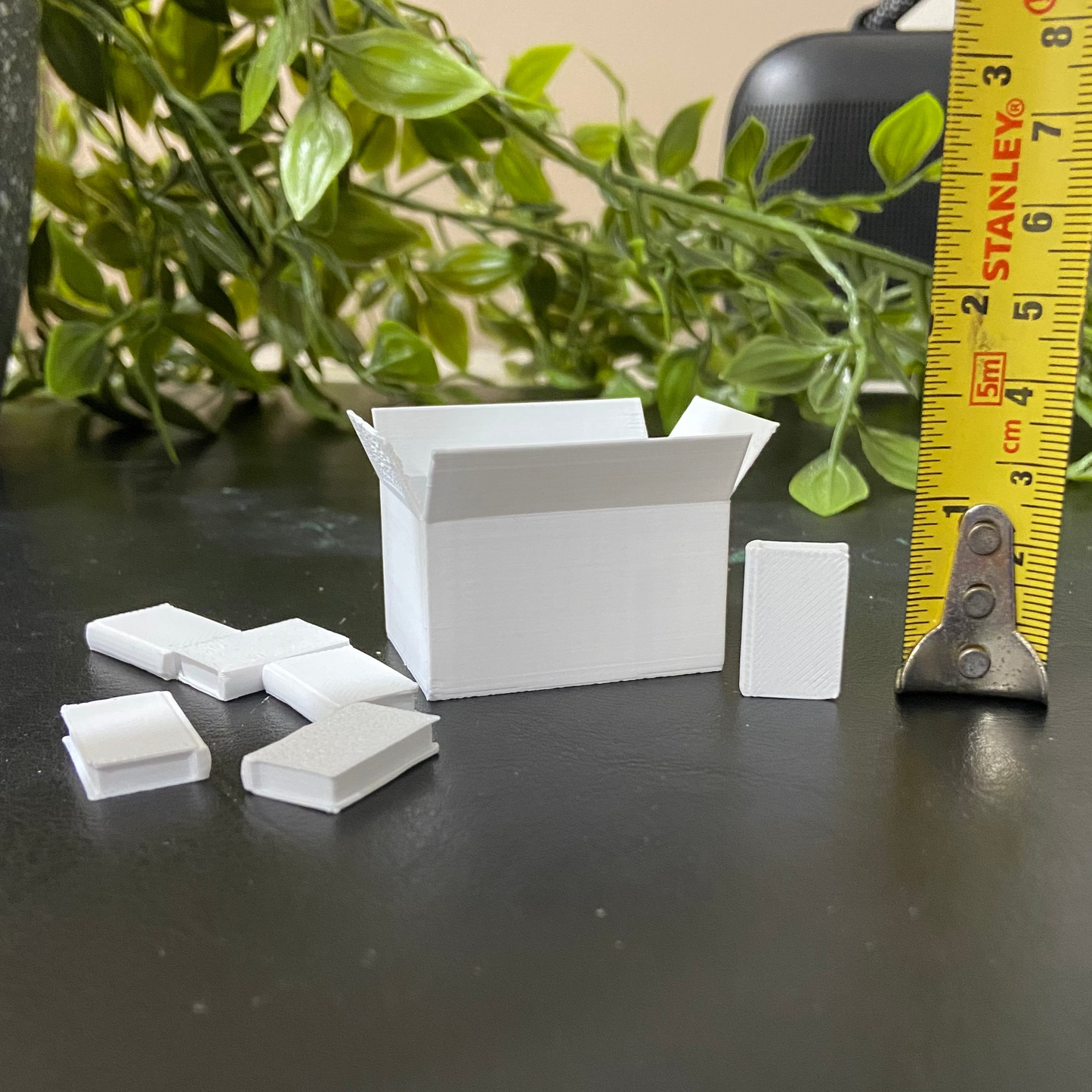 Carton And Books- Dollhouse  - M022