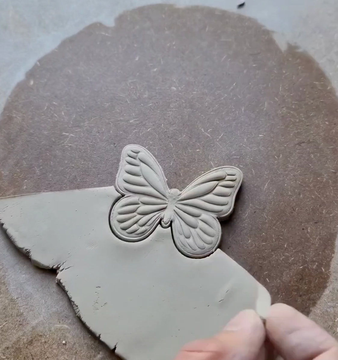 C15 - Butterfly Cookie Cutter and Stamp Set for Clay, Pottery and Bakery - ClartStudios - Polymer clay Jewellery