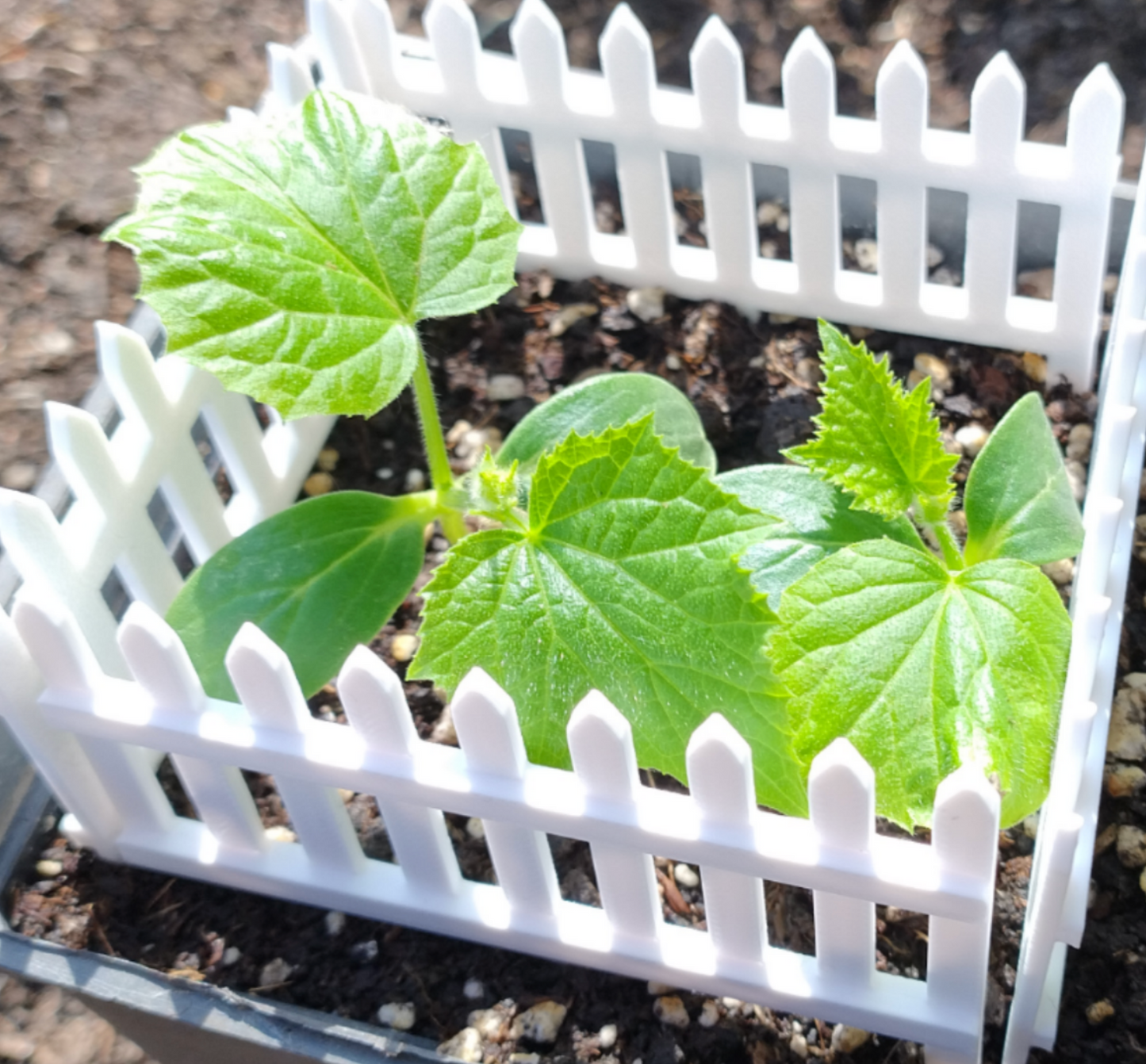 Garden mini fence - M008