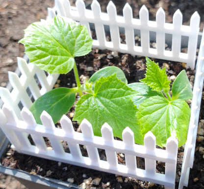 Garden mini fence - M008